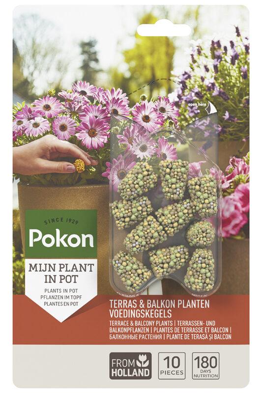 Terrace & Balcony Plants Food Cones - 40 pieces - 10x