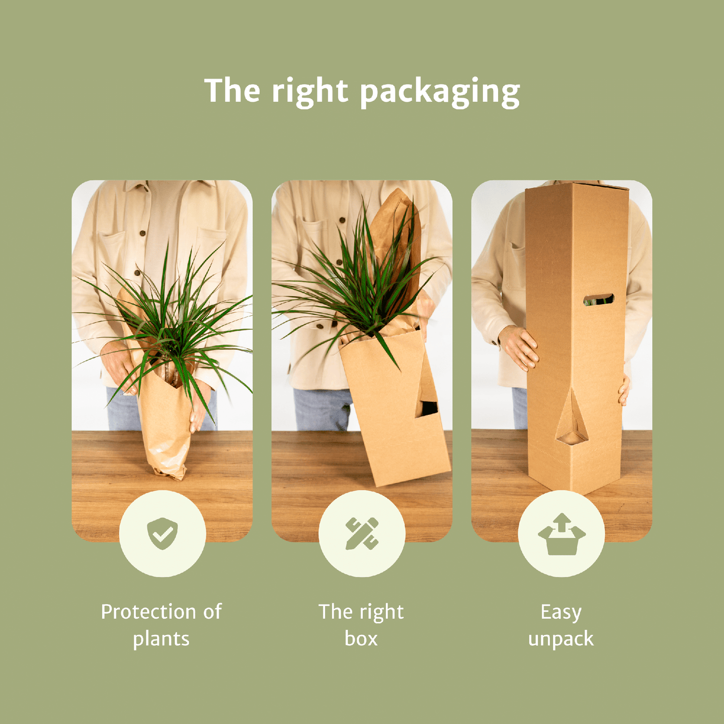 Überraschungsbox - Ø12cm - ↕25cm - x6