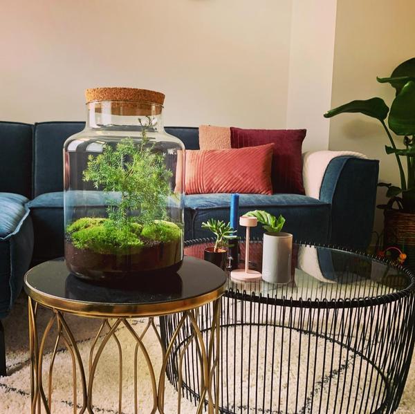 DIY terrarium - Jar Christmas - ↑ 28 cm