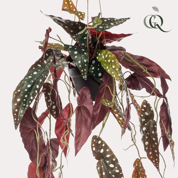 Artificial plant - Begonia Maculata - Dotted Begonia - 80 cm