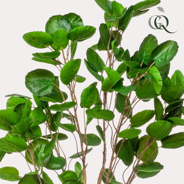 Artificial plant - Polyscias - Aralia - 150 cm