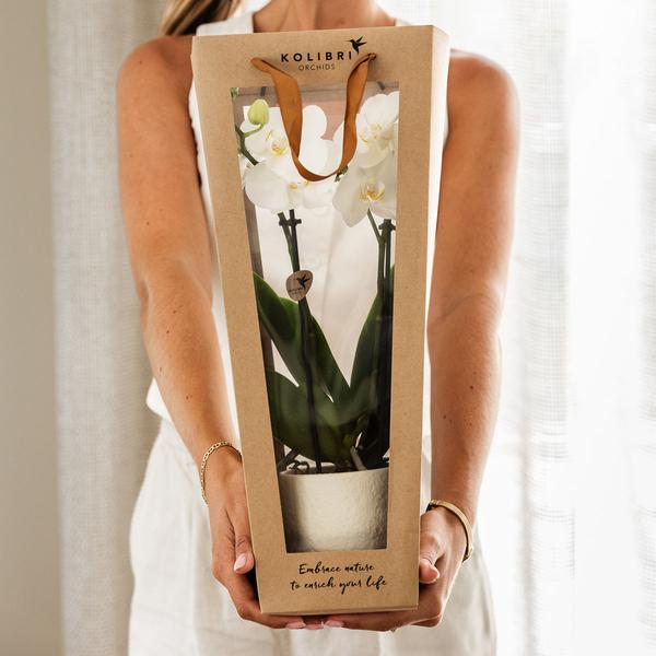 Kolibri Company I Cadeau tasje voor Orchidee met Sierpot 9cm