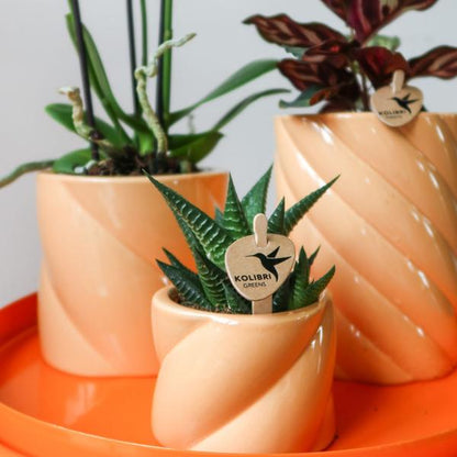 Hummingbird Home | Candy decorative pot - Peach - Ø9cm