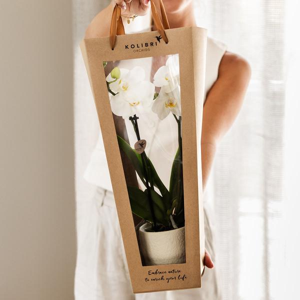 Kolibri Company I Cadeau tasje voor Orchidee met Sierpot 9cm