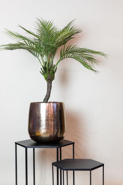 Artificial plant - Chamaedorea - Mountain palm - 85 cm