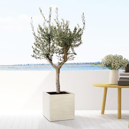 Block Beige gewaschen - L - T50 x H50