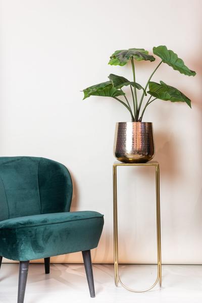 Artificial plant - Alocasia - Elephant ear - 70 cm