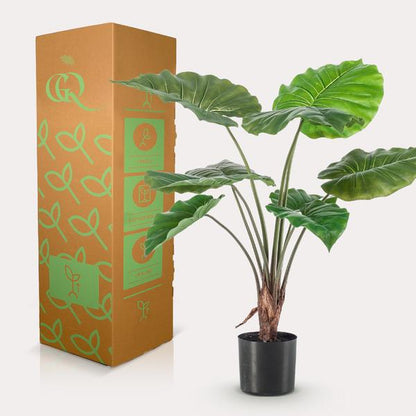 Artificial plant - Alocasia - Elephant ear - 70 cm