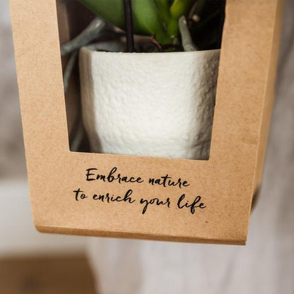 Kolibri Company I Cadeau tasje voor Orchidee met Sierpot 9cm