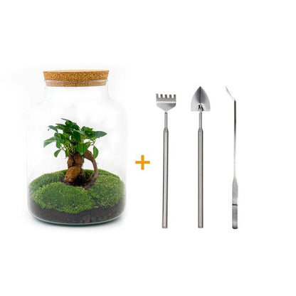 DIY Terrarium - Milky mit Bonsai - ↕ 30 cm - Harke + Schaufel + Pinzette