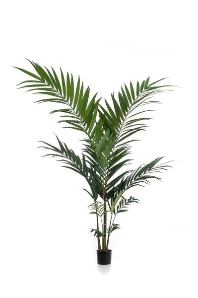 Artificial plant - Kentia -Kentia palm - 150cm