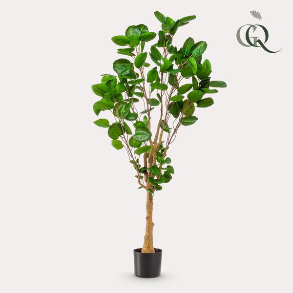 Artificial plant - Polyscias - Aralia - 150 cm