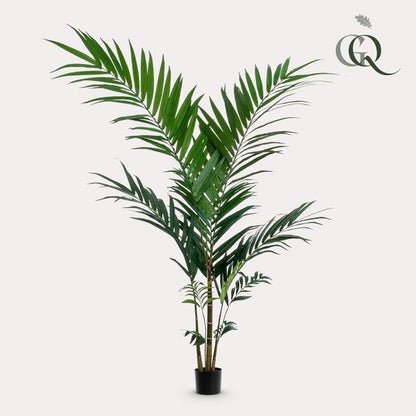 Artificial plant - Kentia -Kentia palm - 150cm