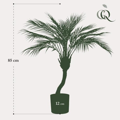 Artificial plant - Chamaedorea - Mountain palm - 85 cm