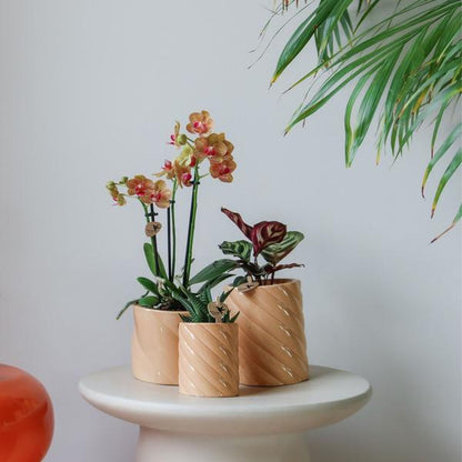 Hummingbird Home | Candy decorative pot - Peach - Ø9cm