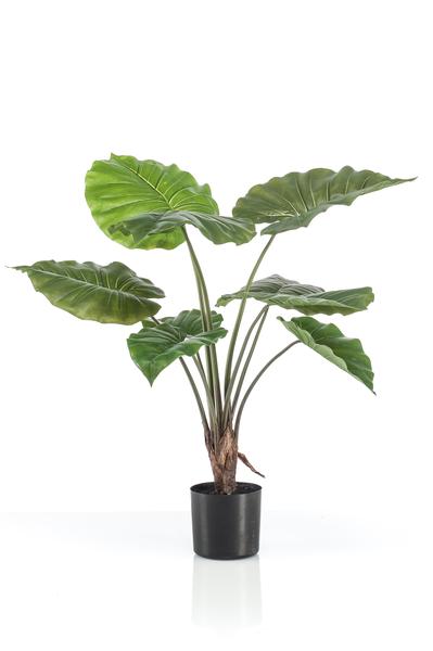 Artificial plant - Alocasia - Elephant ear - 70 cm