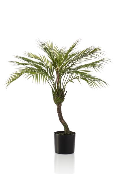 Artificial plant - Chamaedorea - Mountain palm - 85 cm