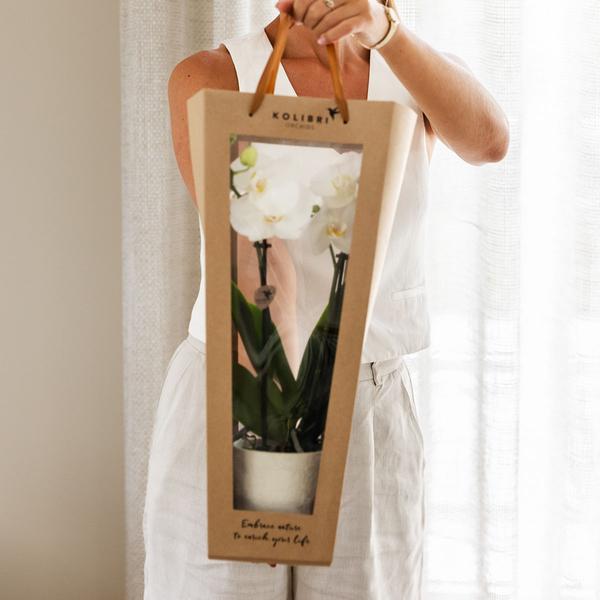 Kolibri Company I Cadeau tasje voor Orchidee met Sierpot 9cm