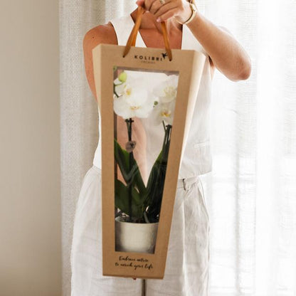 Kolibri Company I Cadeau tasje voor Orchidee met Sierpot 9cm