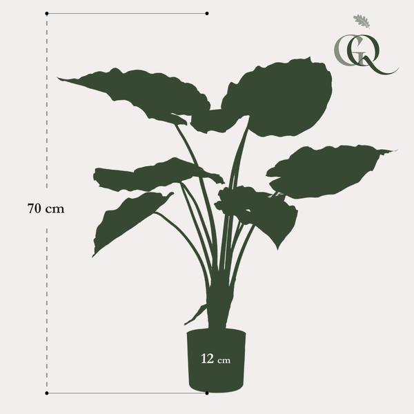 Artificial plant - Alocasia - Elephant ear - 70 cm