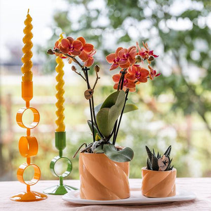 Hummingbird Home | Candy decorative pot - Peach - Ø9cm