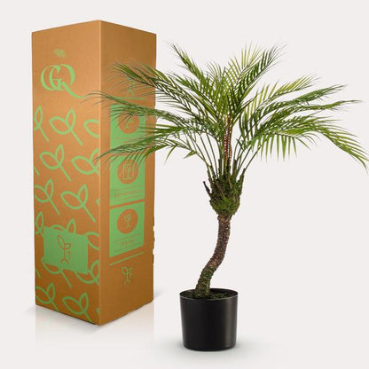 Artificial plant - Chamaedorea - Mountain palm - 85 cm